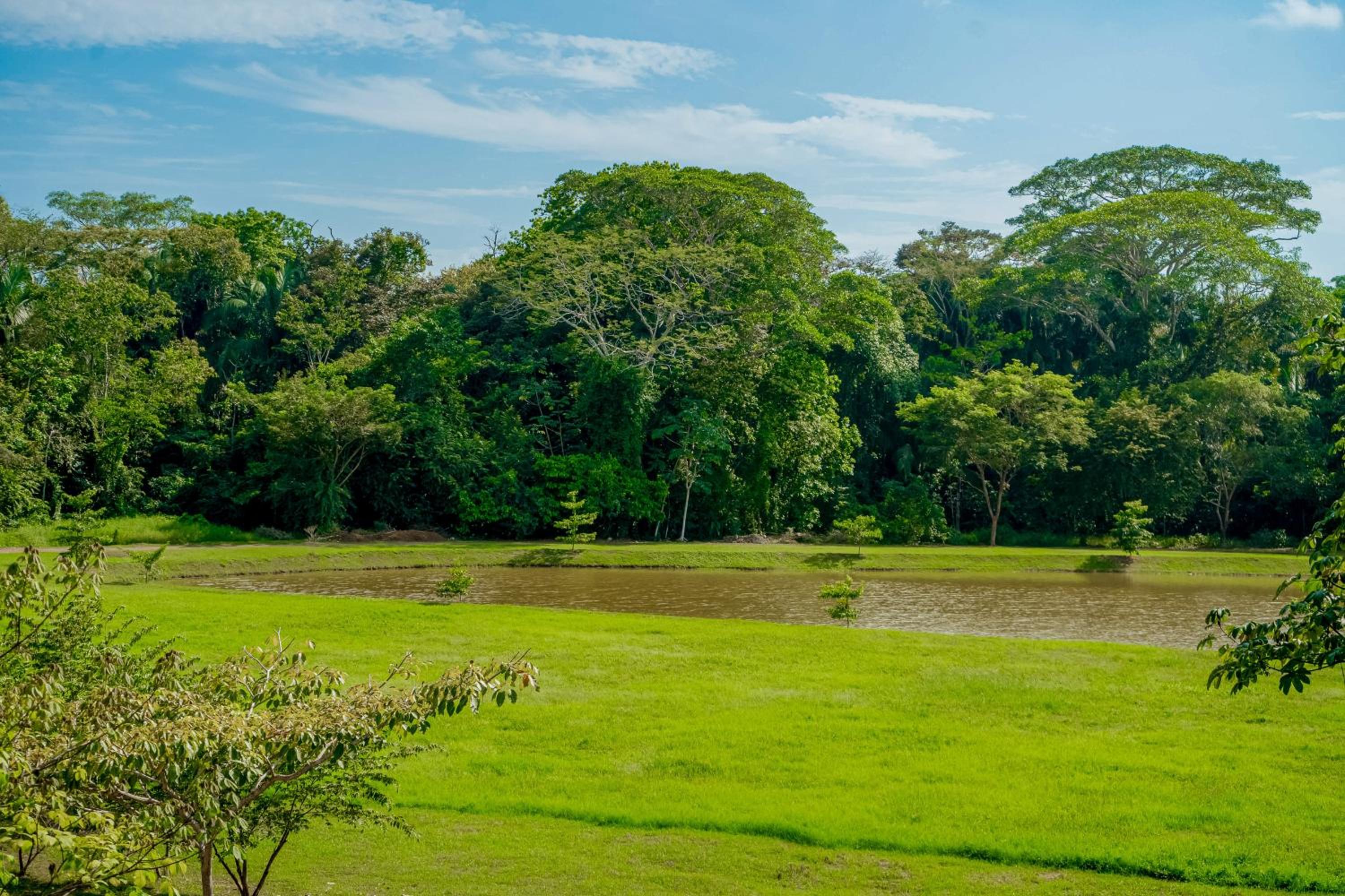 Rainforest Zen @ Nautilus B25