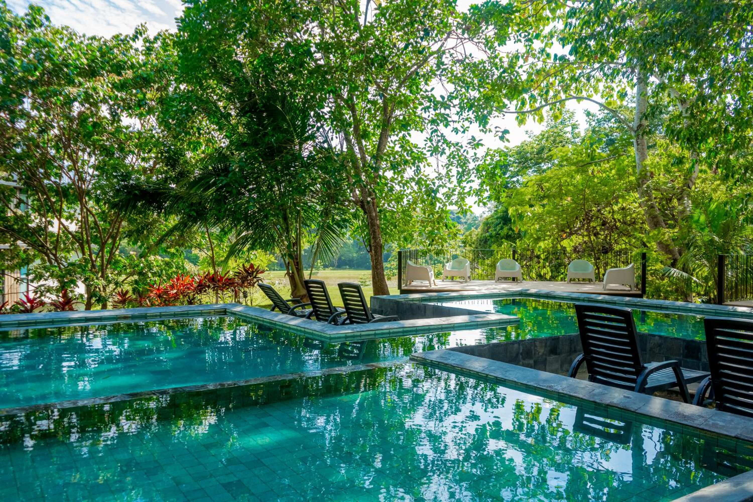 Rainforest Zen @ Nautilus B25