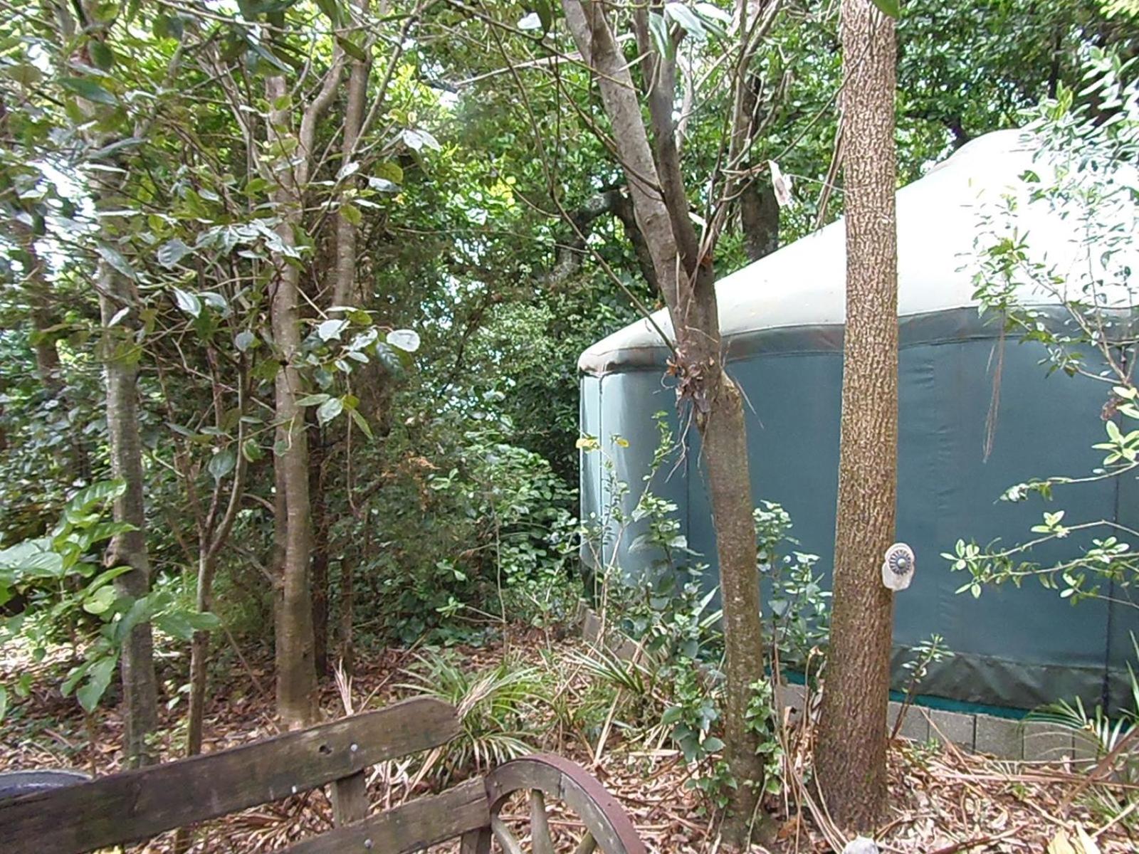 Nikau Sanctuary
