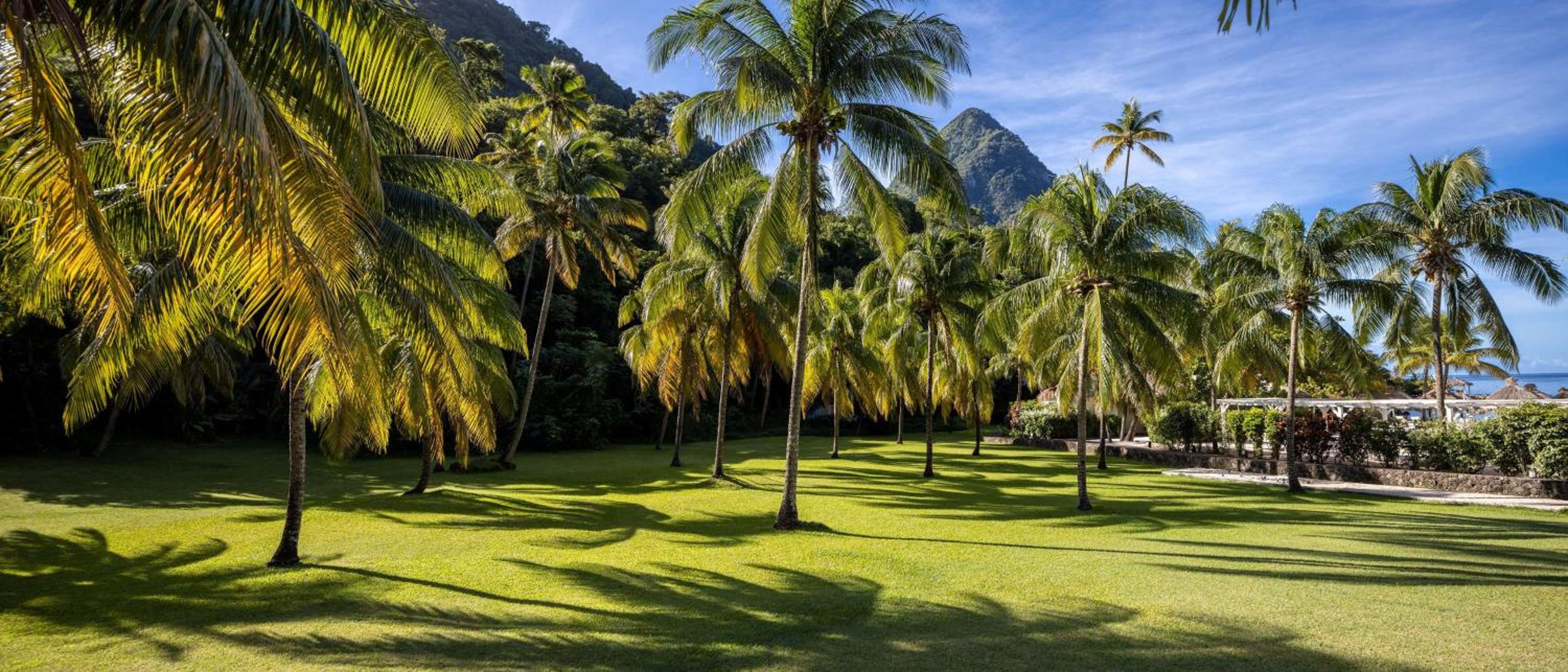 Sugar Beach, A Viceroy Resort - Photo 158
