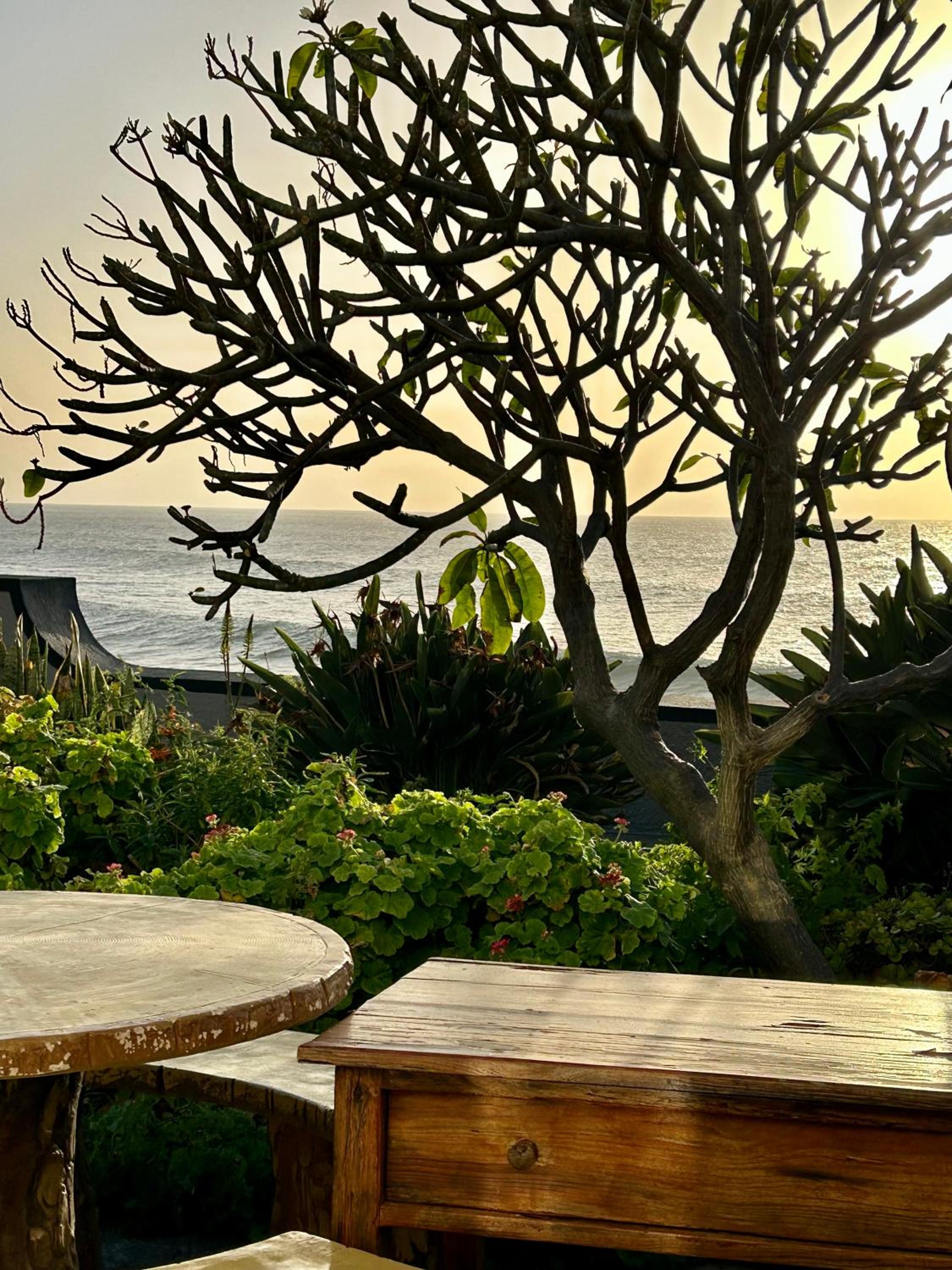 Casa Carneirinho by Olá Madeira