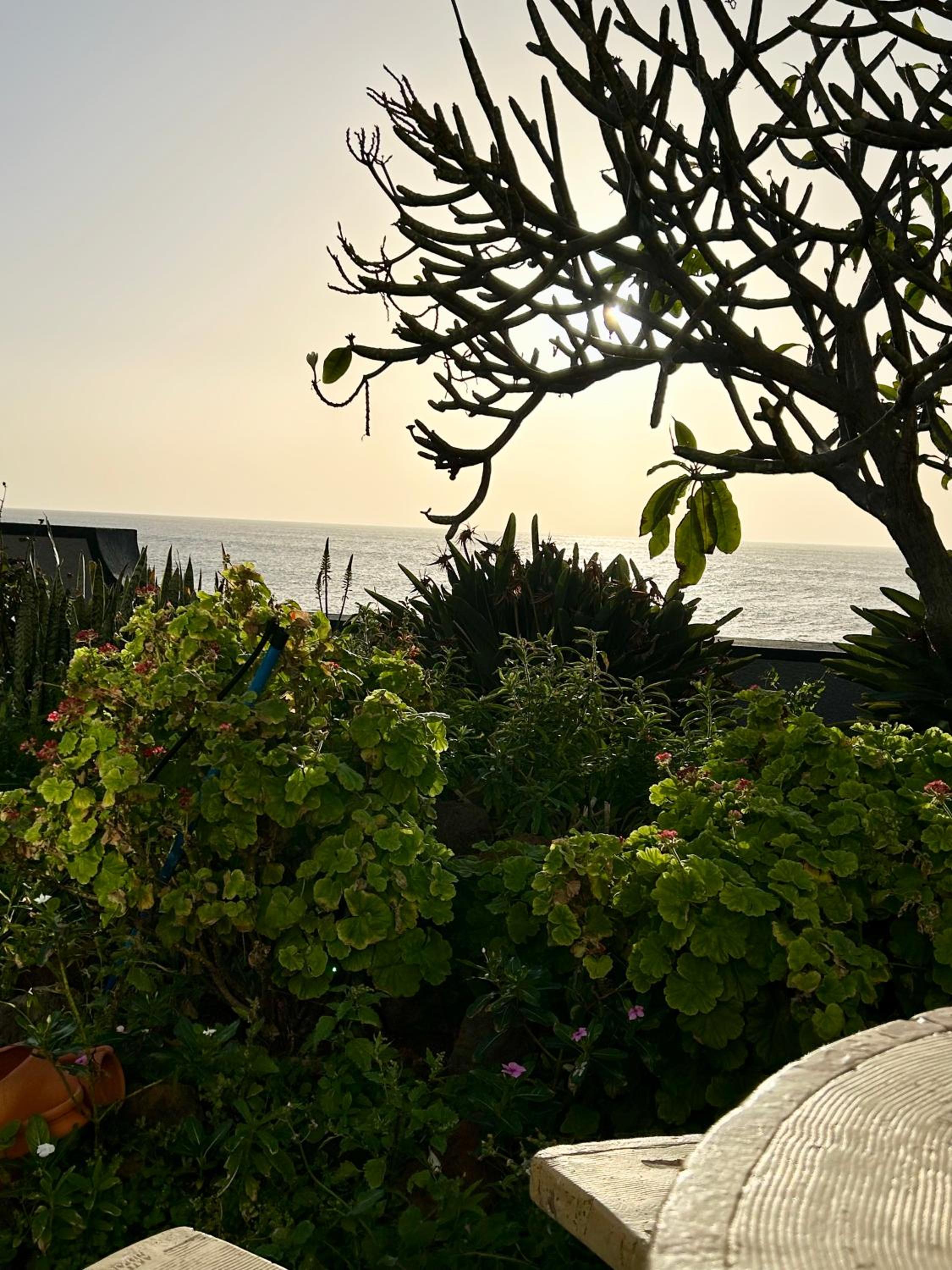 Casa Carneirinho by Olá Madeira