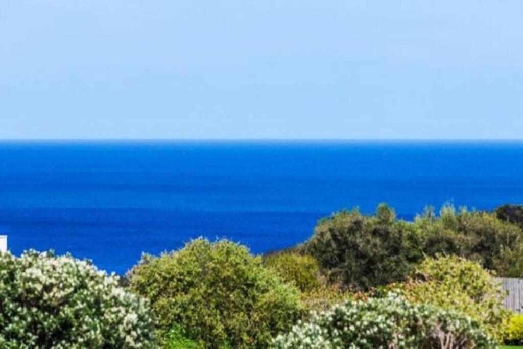 Ocean View Oasis, meters to beach & view divine!