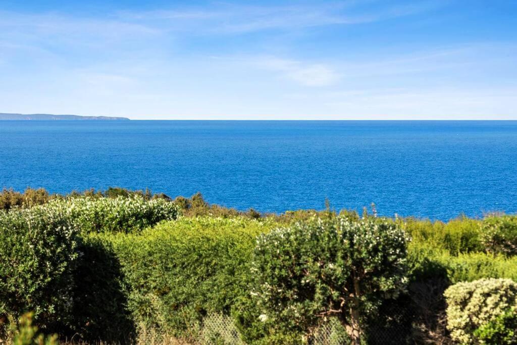 Ocean View Oasis, meters to beach & view divine!