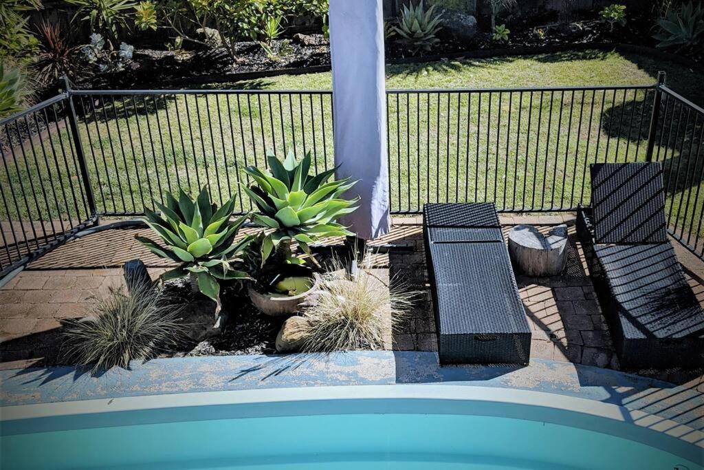 Ocean View Oasis, meters to beach & view divine!