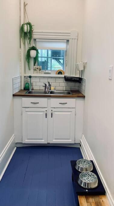 Pet-Friendly Space #3 at Doggy Digs, King Bed and Office