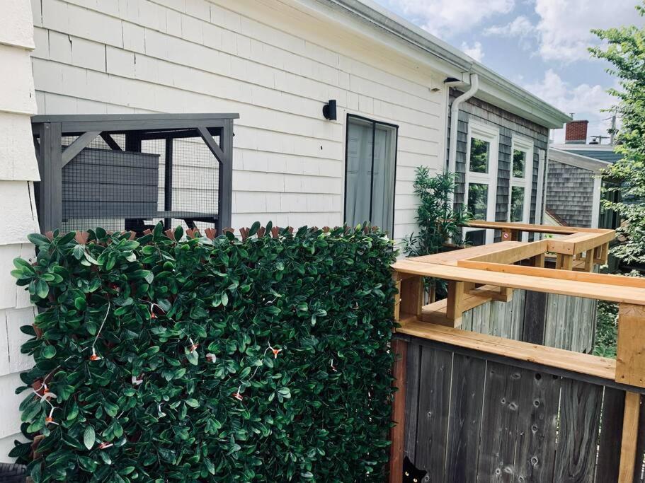 Pet-Friendly Space #3 at Doggy Digs, King Bed and Office