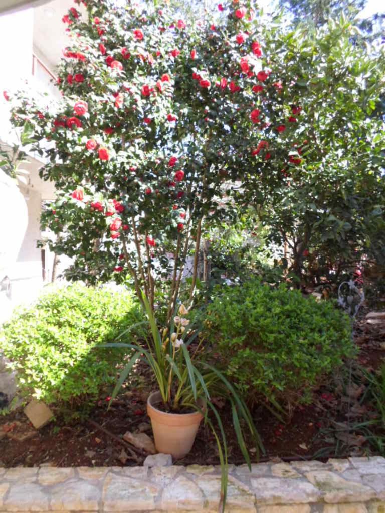 Apartments villa MaVeRo