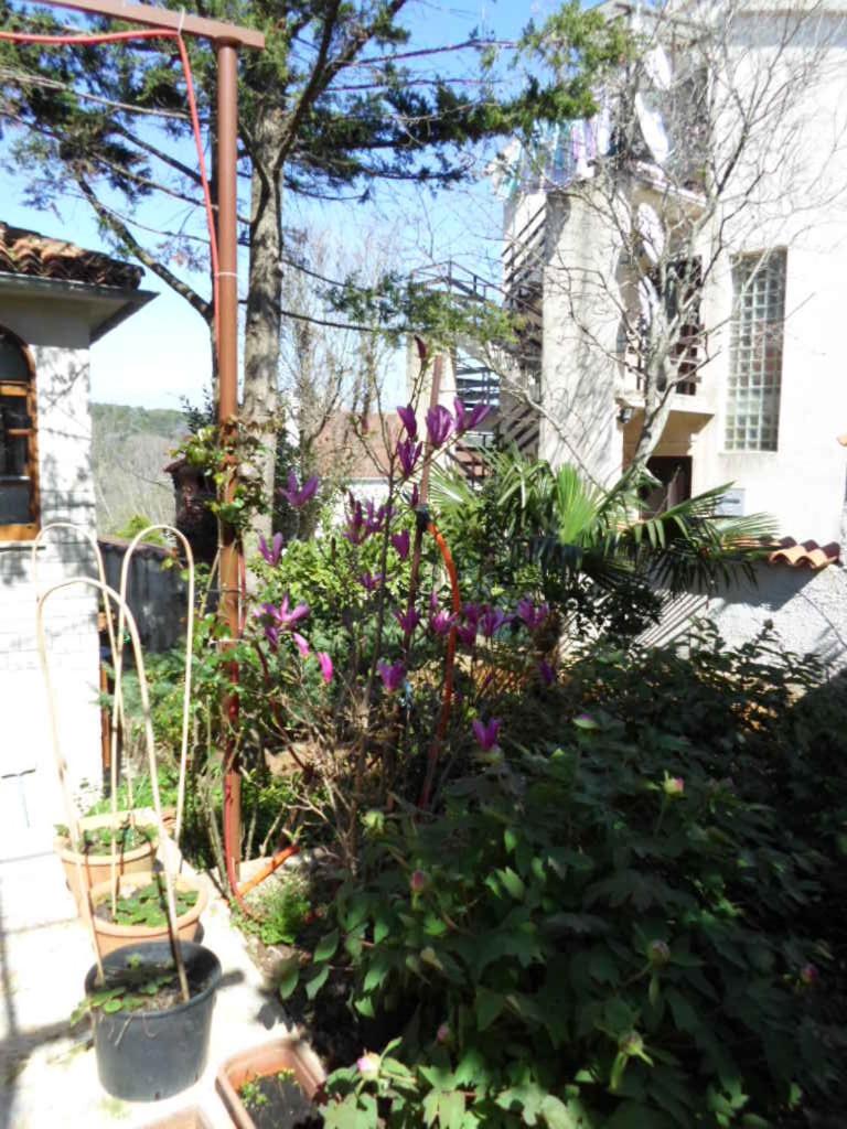 Apartments villa MaVeRo