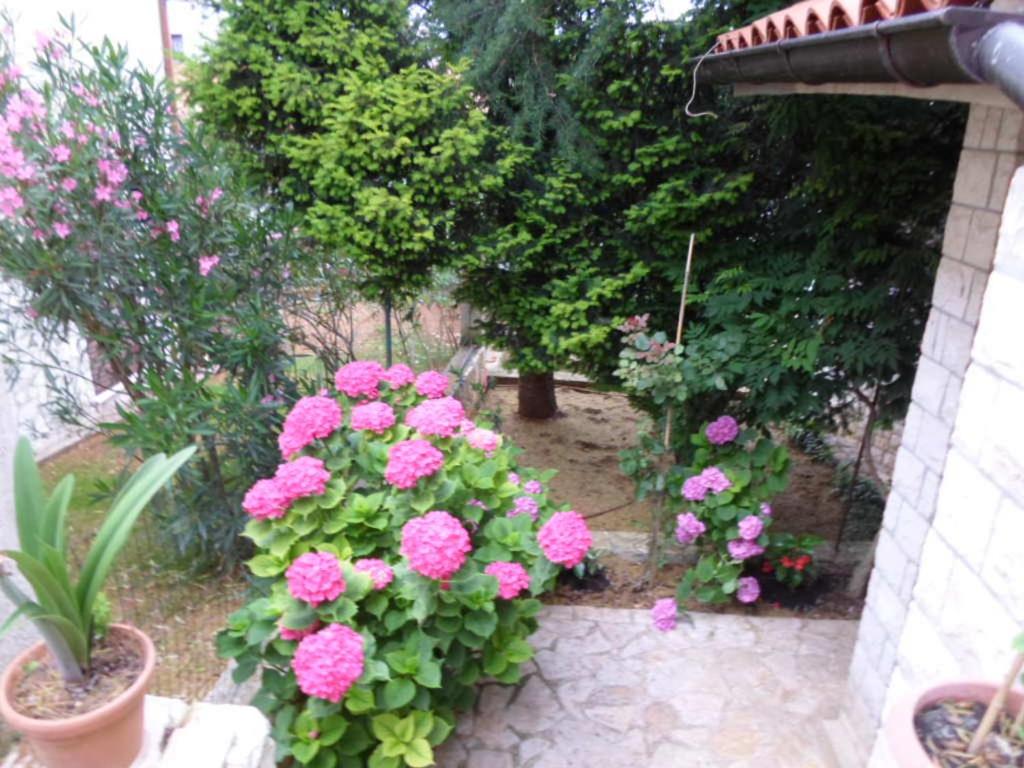 Apartments villa MaVeRo