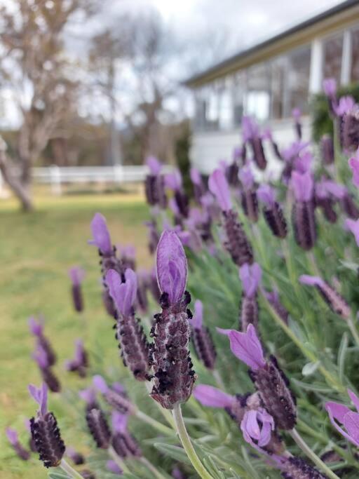 Amaroo House 'A beautiful place!'