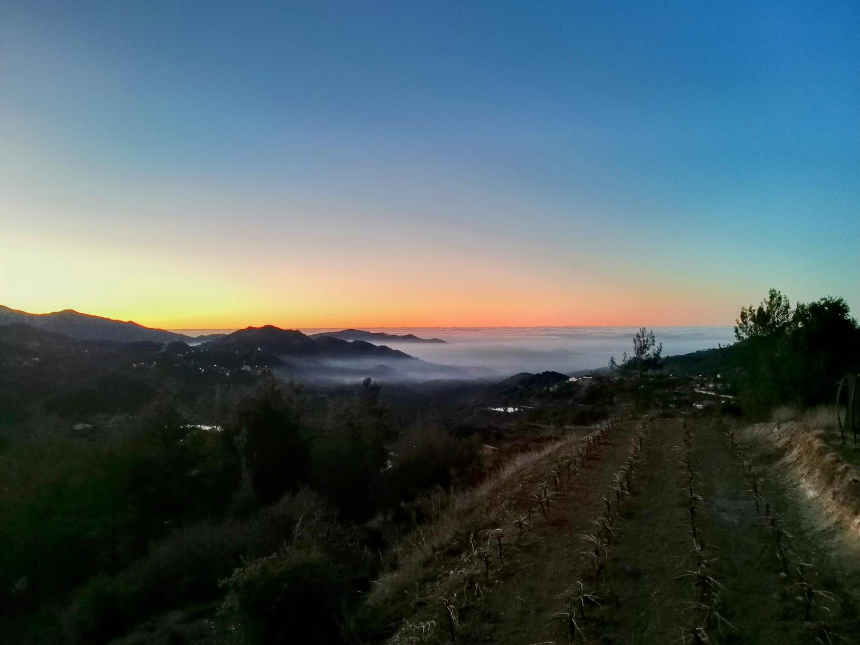 Arxaia skala
