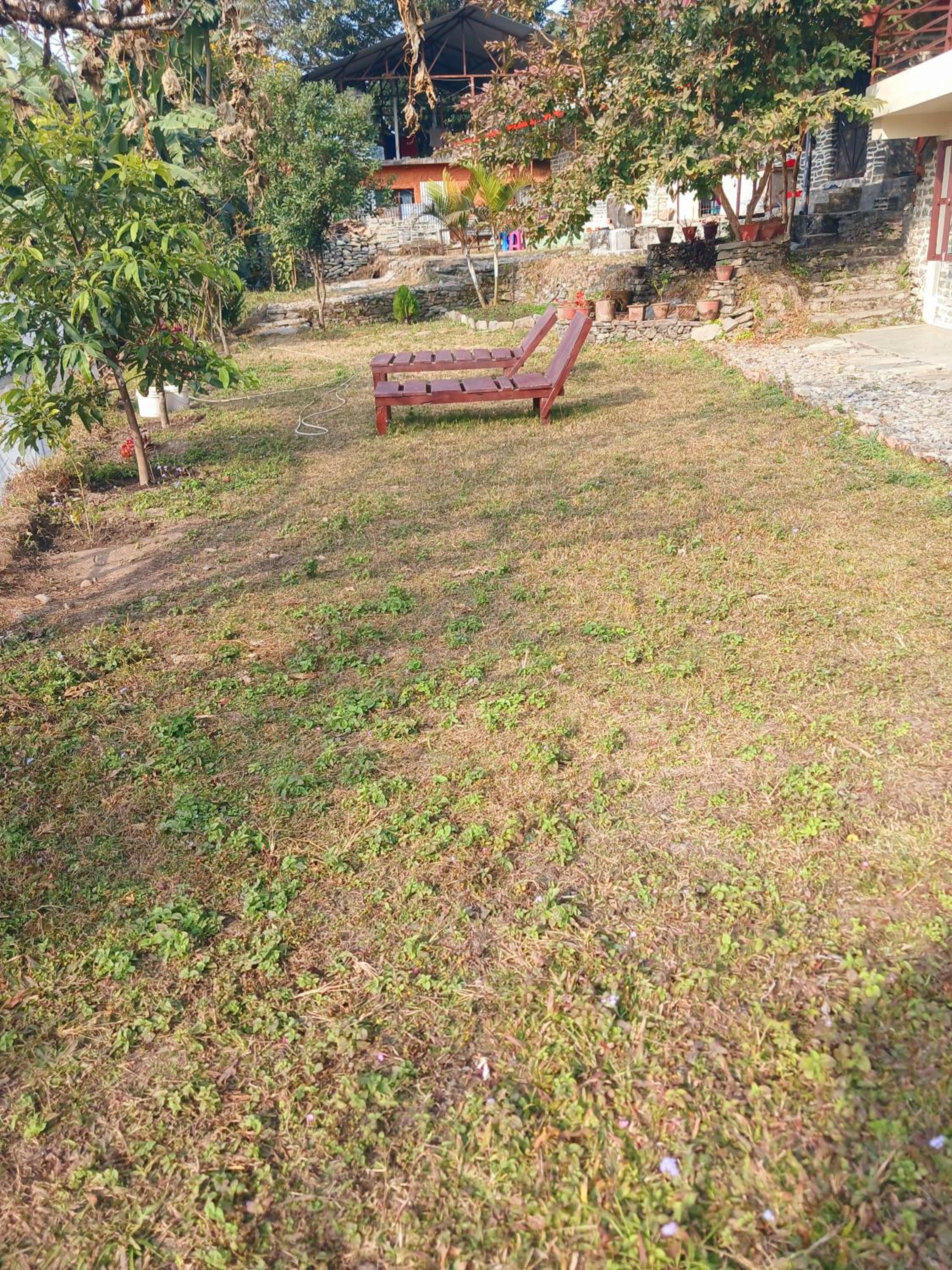 Photo 7