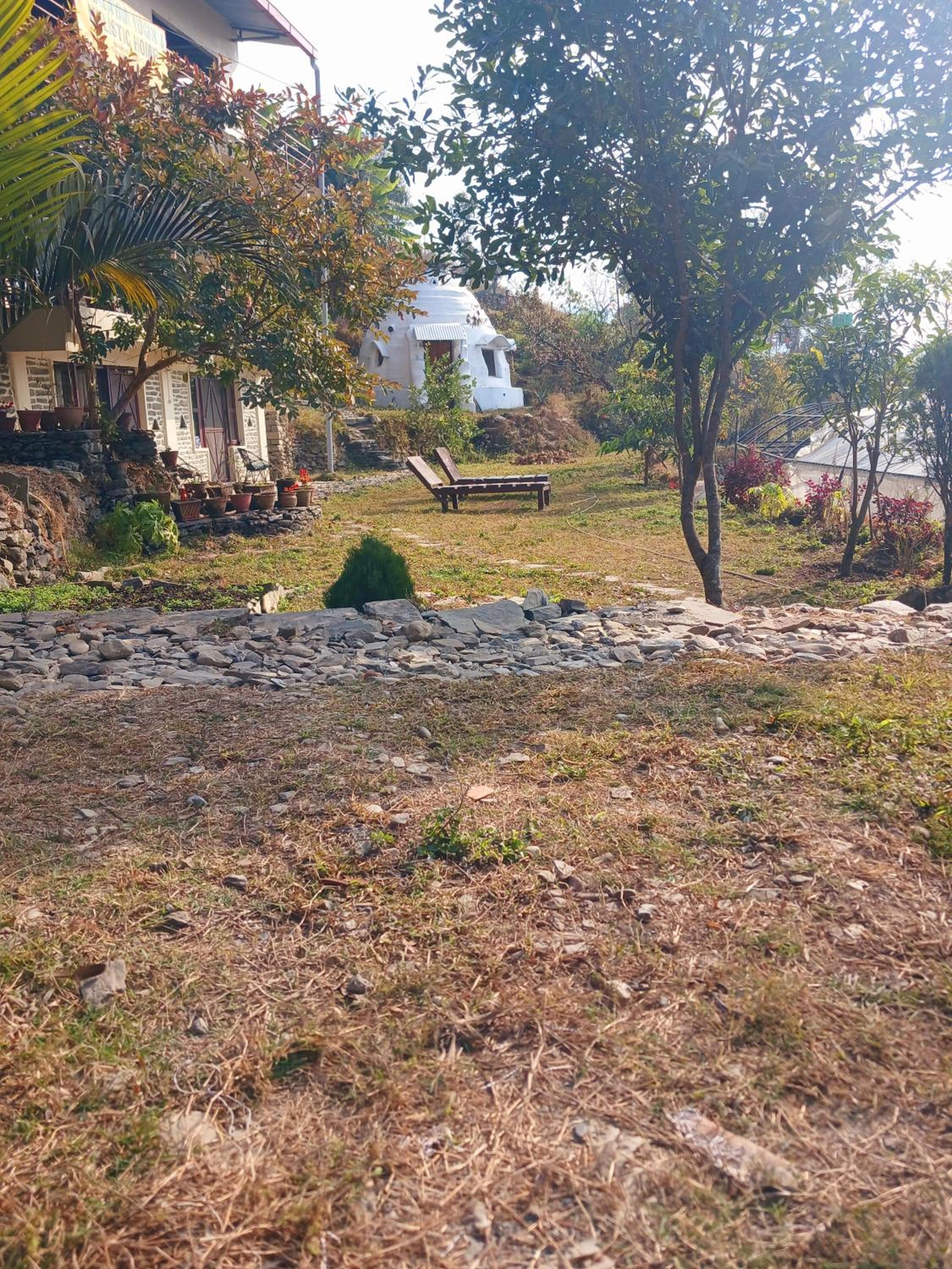 Photo 8