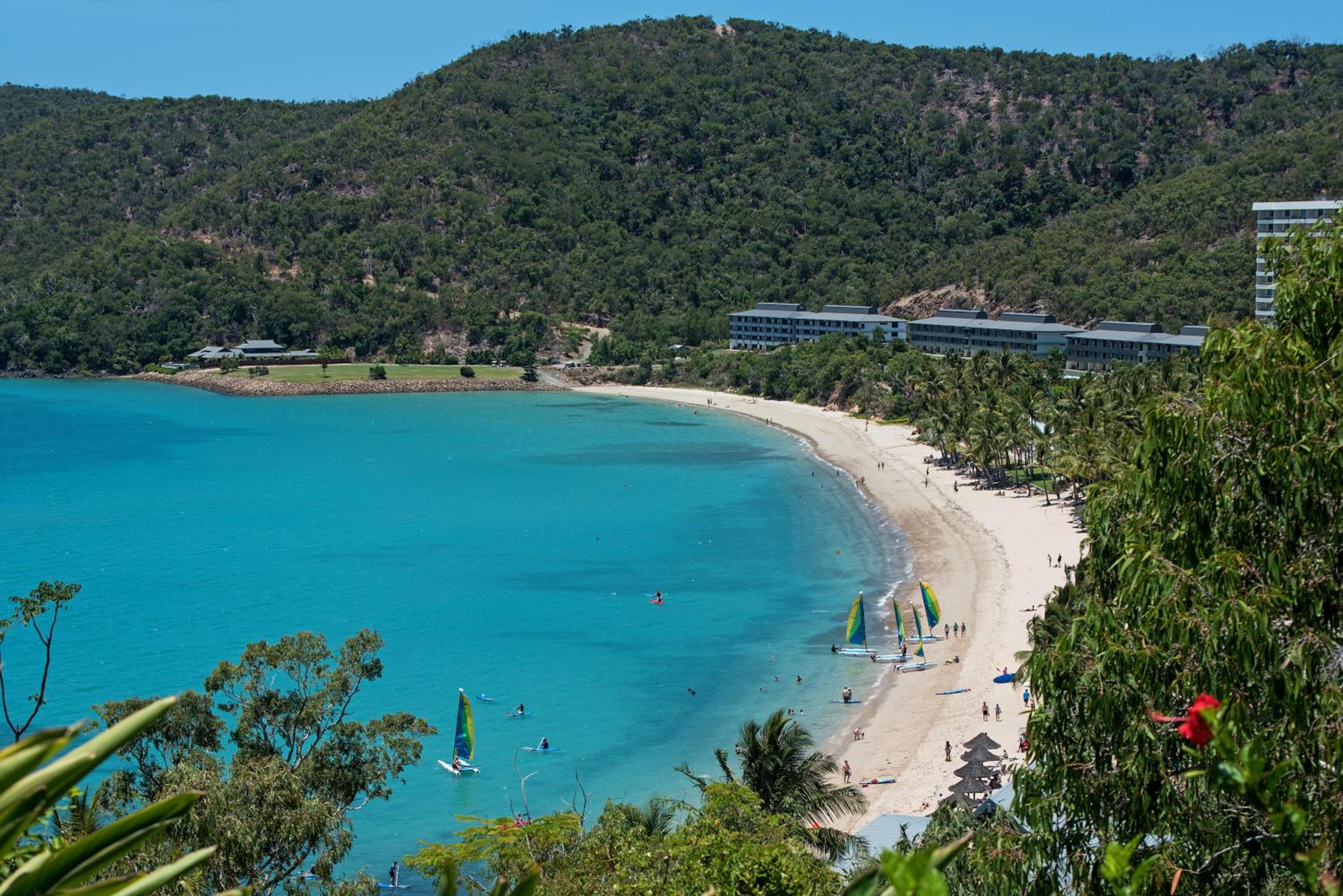 Frangipani 204 & Buggy Hamilton Island
