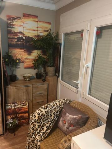 Jungle Magic Room near Atomium , Heyzel Stadium