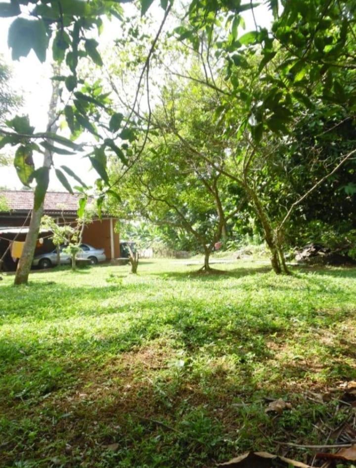 Freedom River House Villa view 5