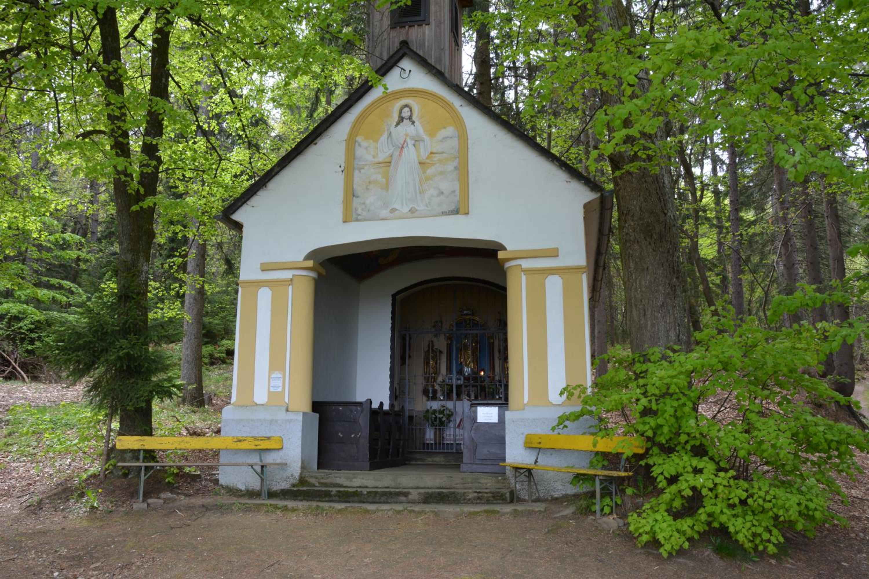 Photo 37