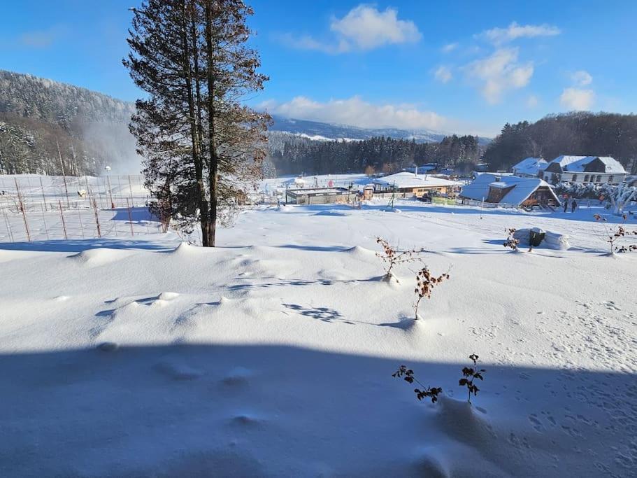 Superior apartment s terasou 2 - Ski&Bike, Janské Lázně