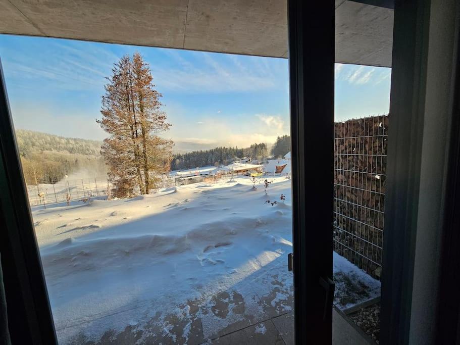 Superior apartment s terasou 2 - Ski&Bike, Janské Lázně