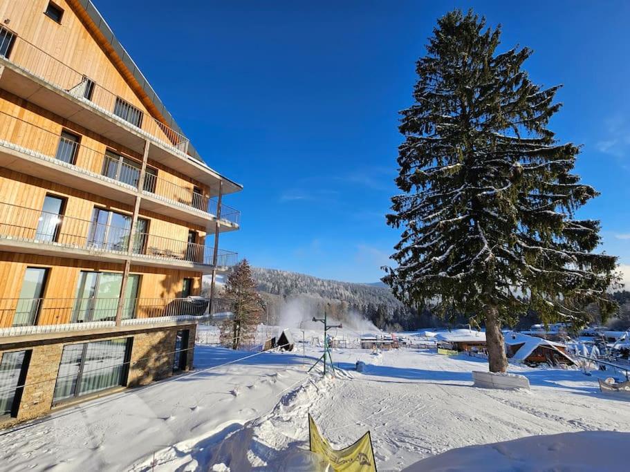Superior apartment s terasou 2 - Ski&Bike, Janské Lázně