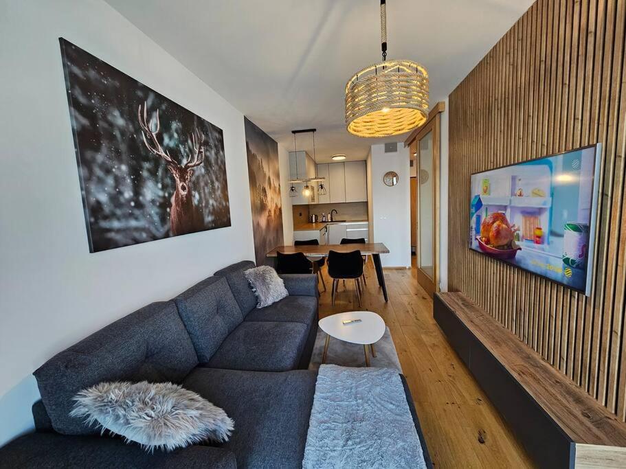 Superior apartment s terasou 2 - Ski&Bike, Janské Lázně