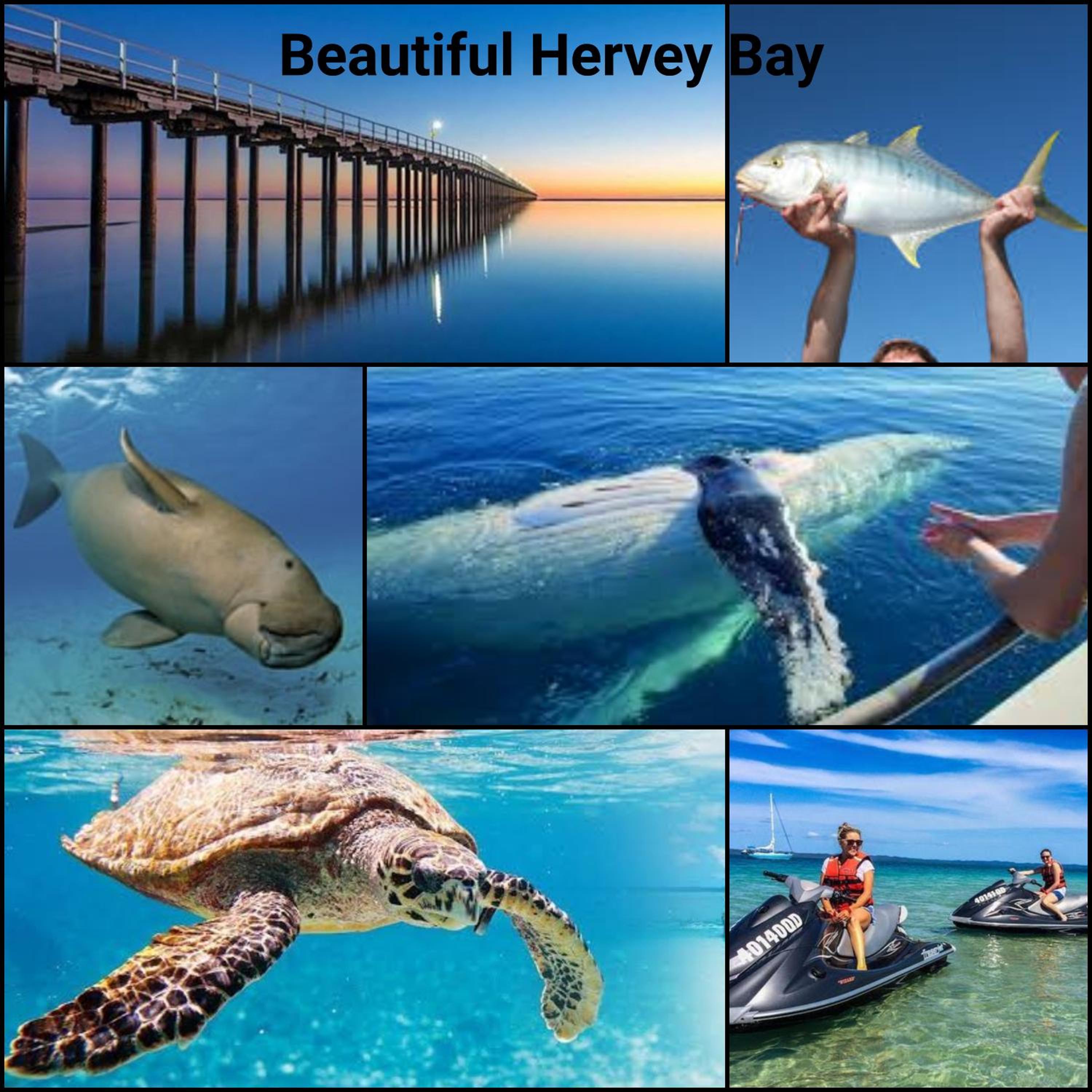 other