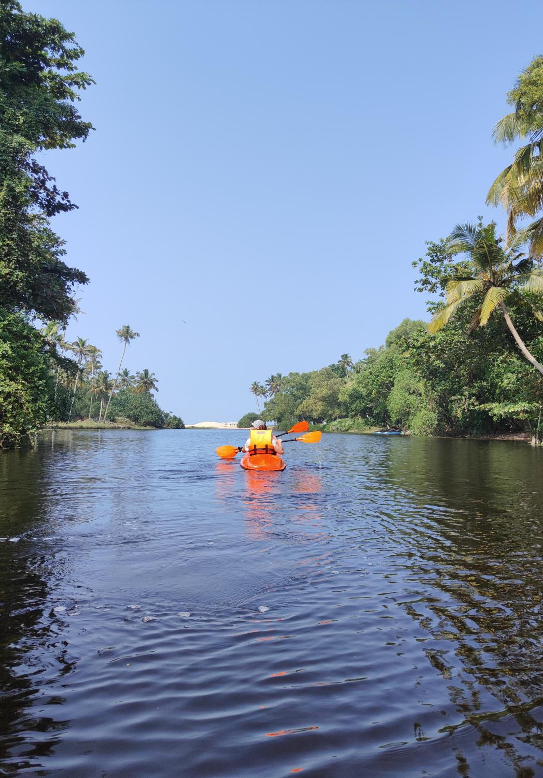 Marari Oceanscape