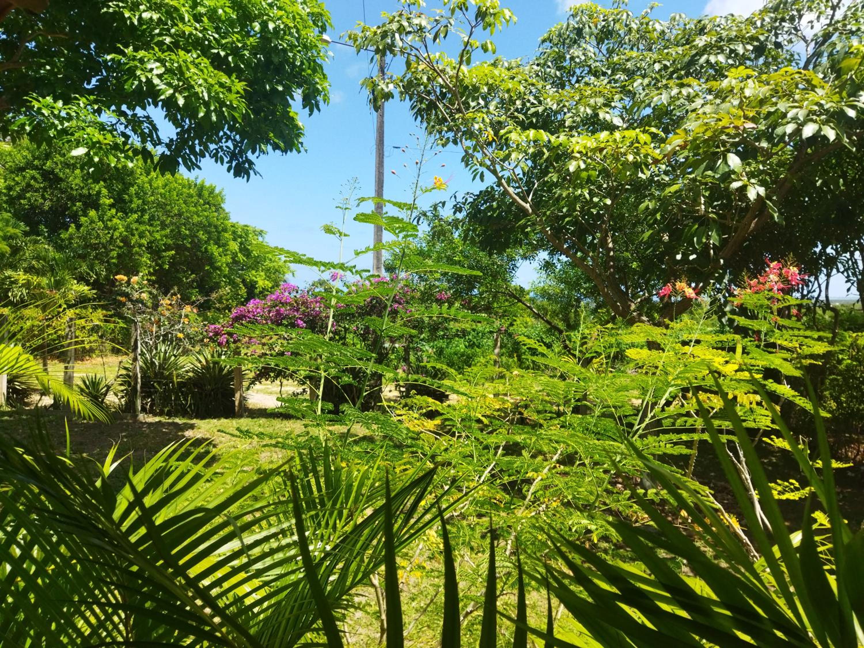Casa de campo, perto da praia