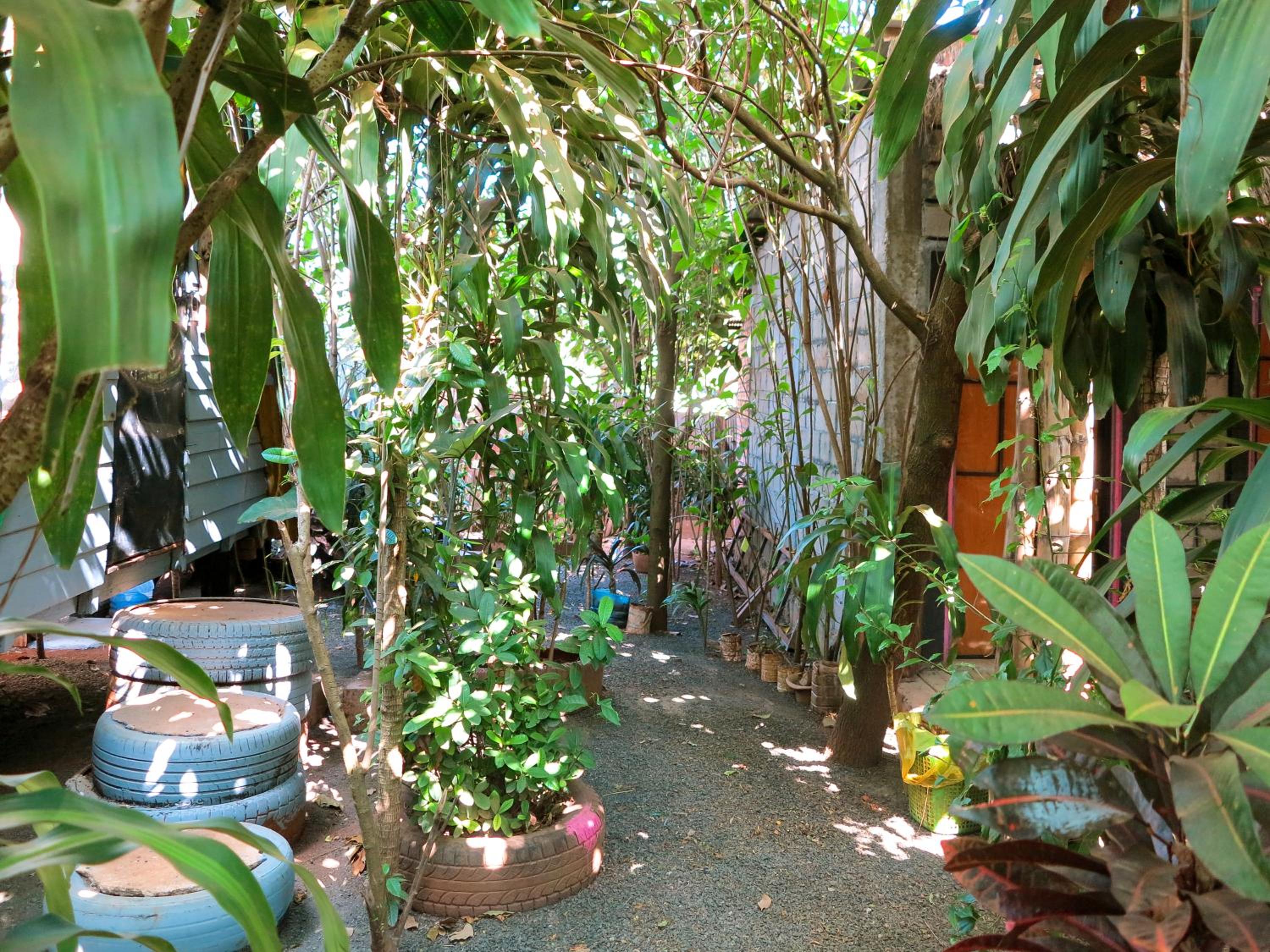 Ratanakiri Homestay & Jungle Trek view 5