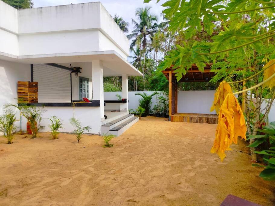 Tropical oasis view 3