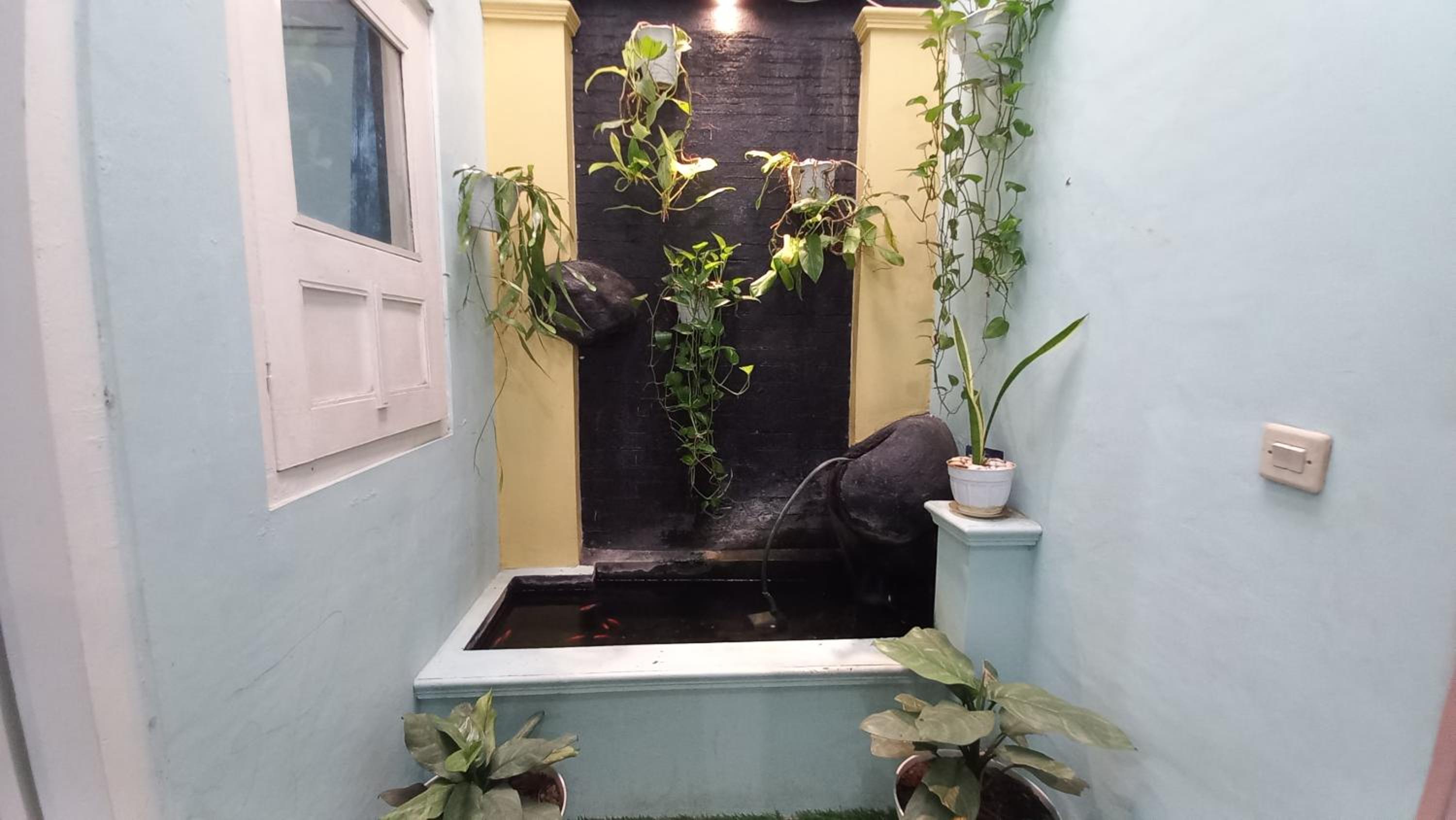 Photo 25