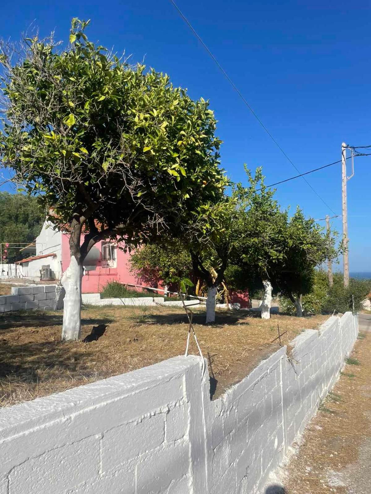 Traditional house