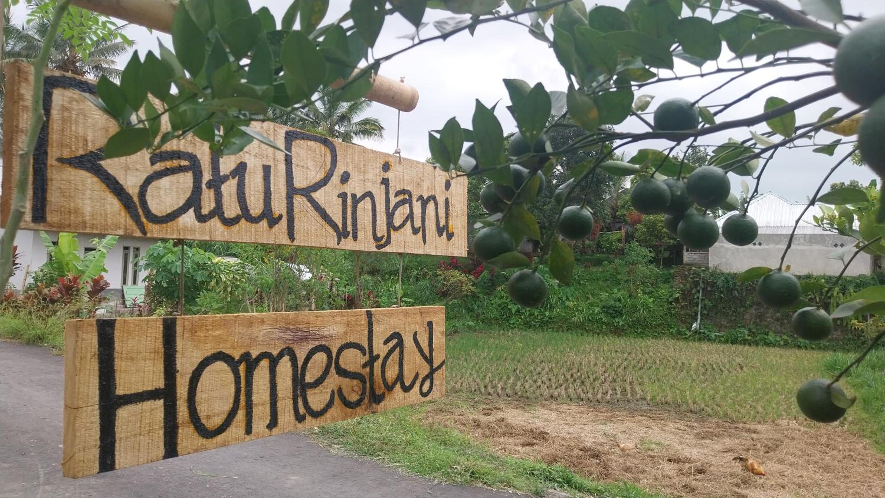 Raturinjani homestay