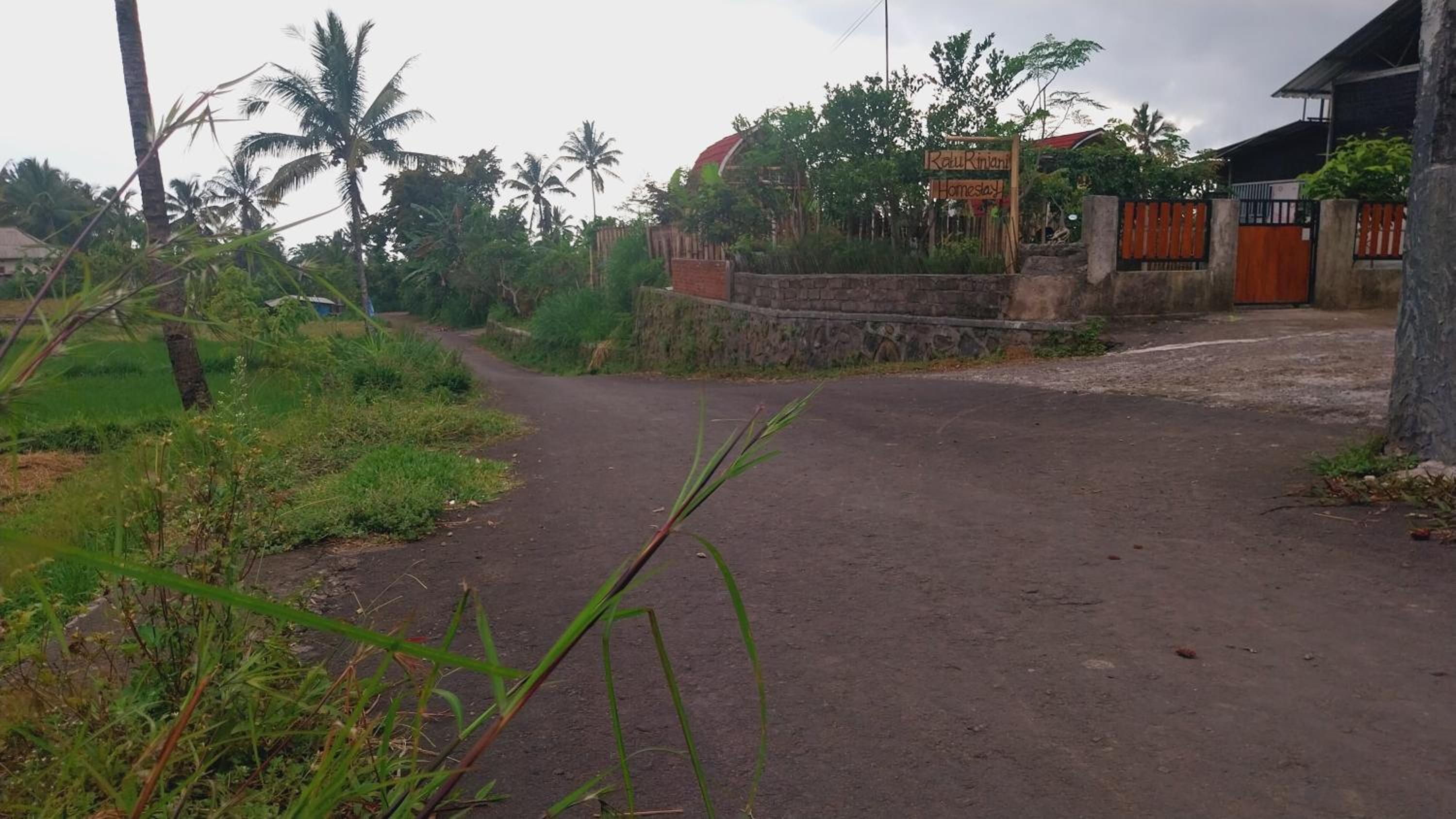 Raturinjani homestay