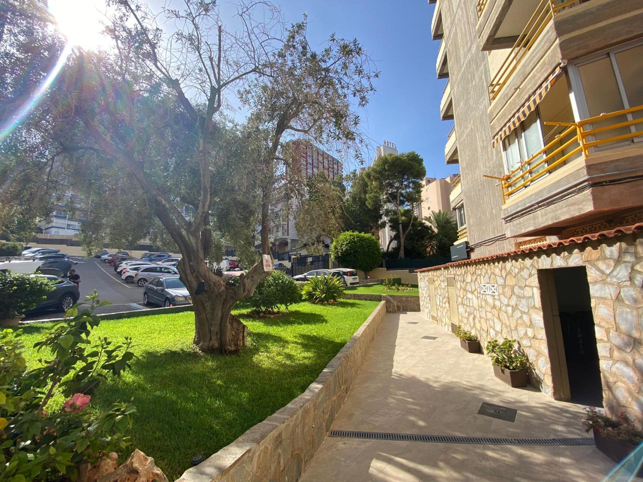 Photo 18