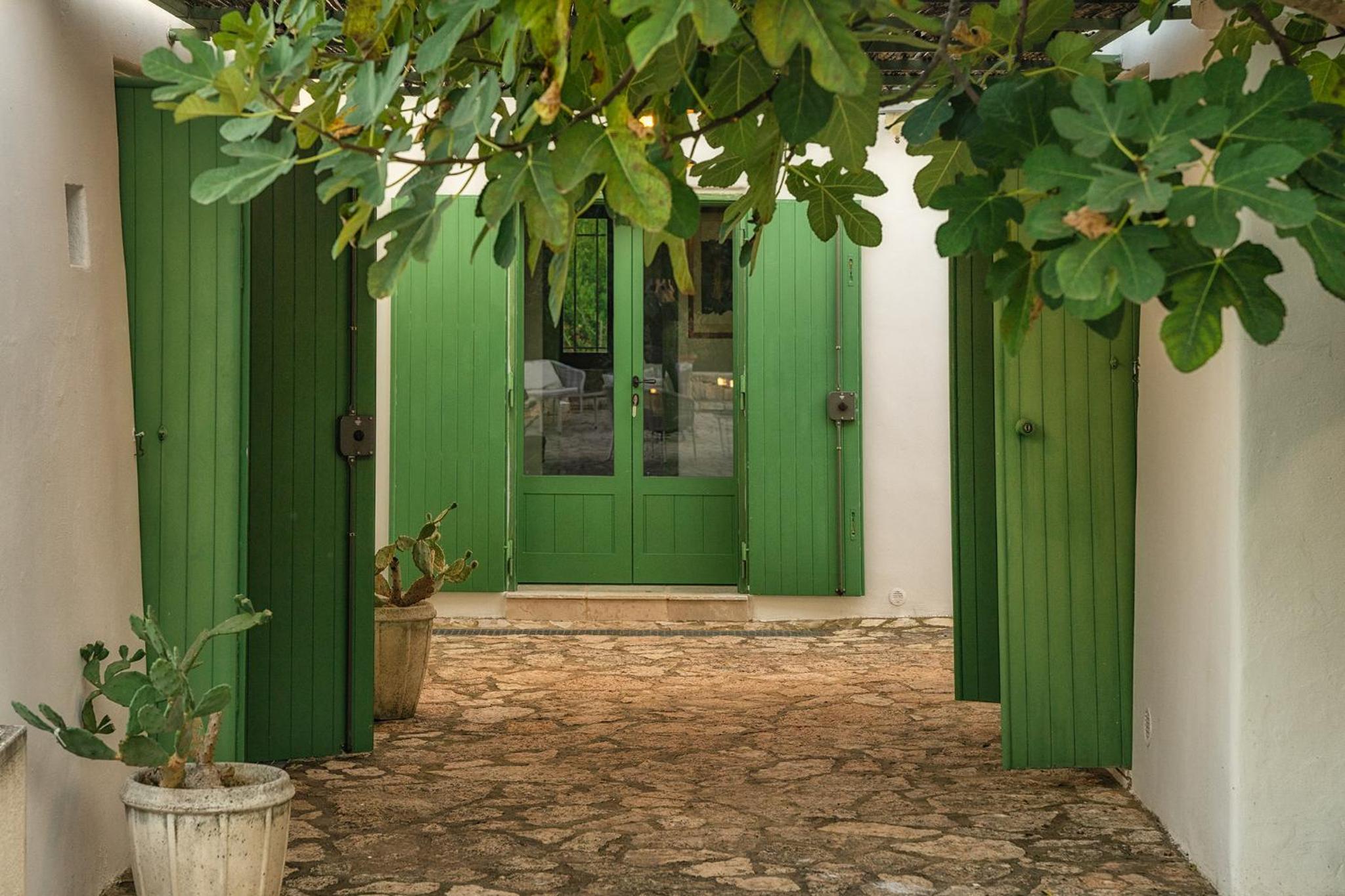 Photo 8