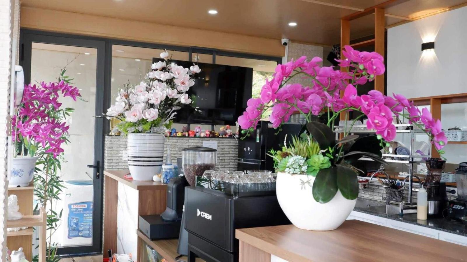 Đồi Hoa Đỏ Homestay