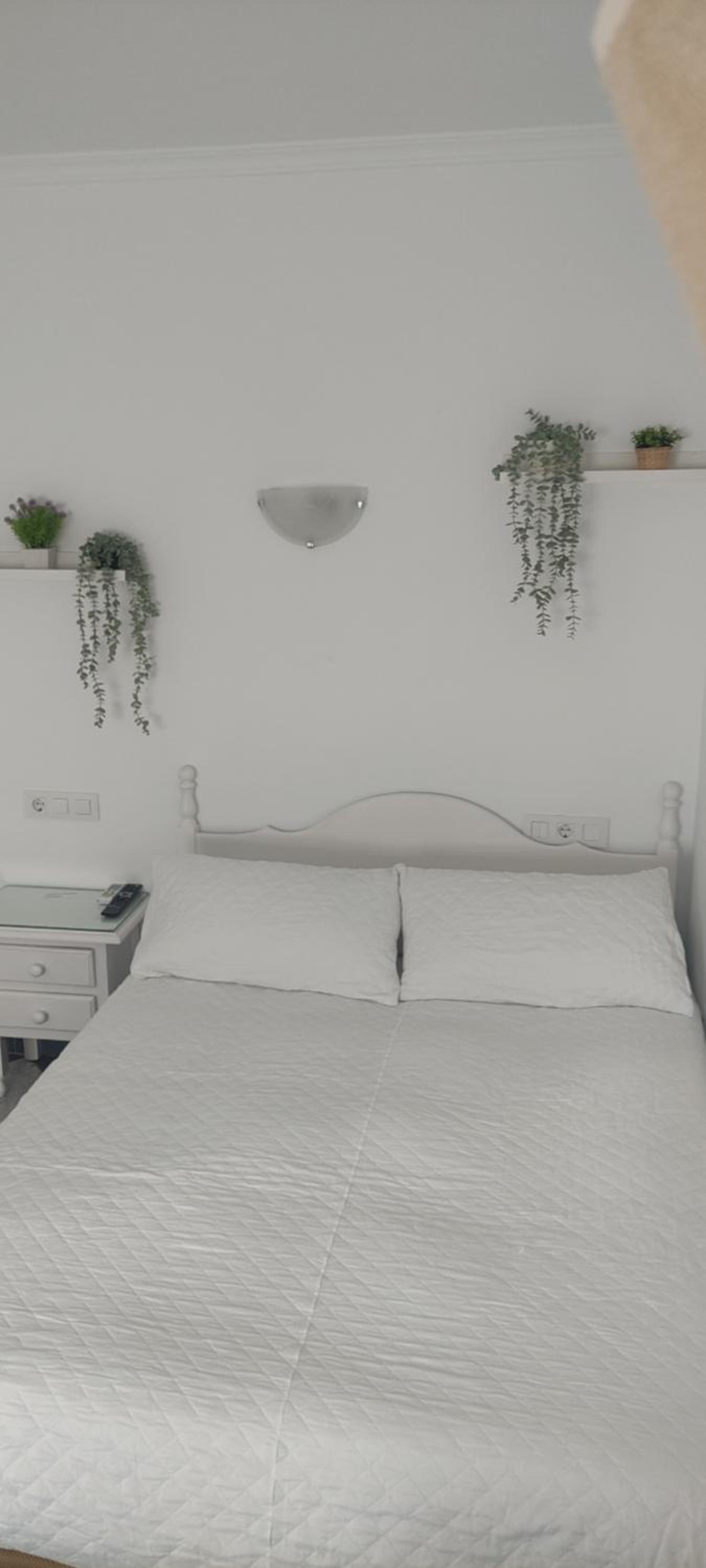 Hostal Restaurante La Giralda, photo 15