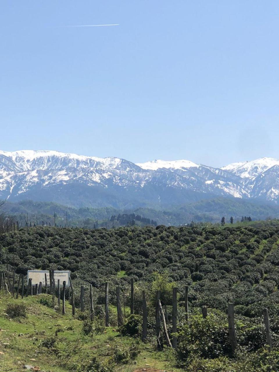 SIO Marani