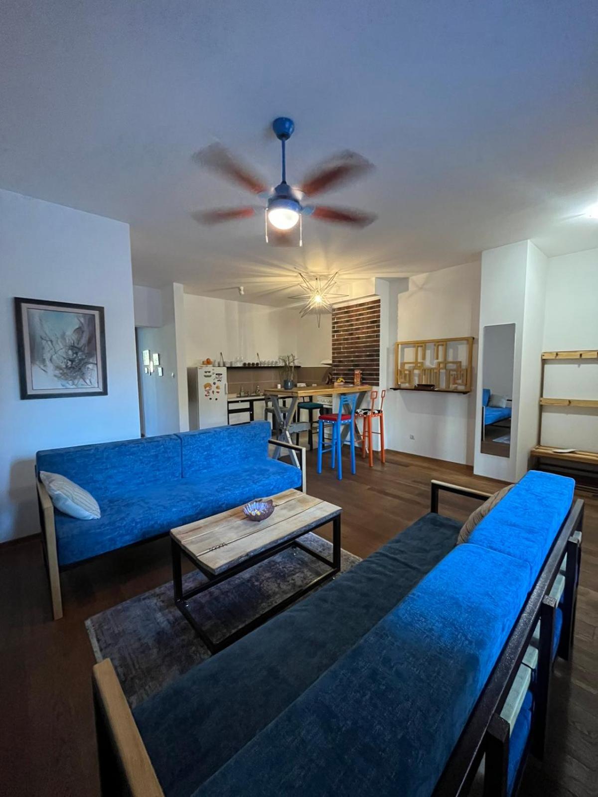 Sava apartment