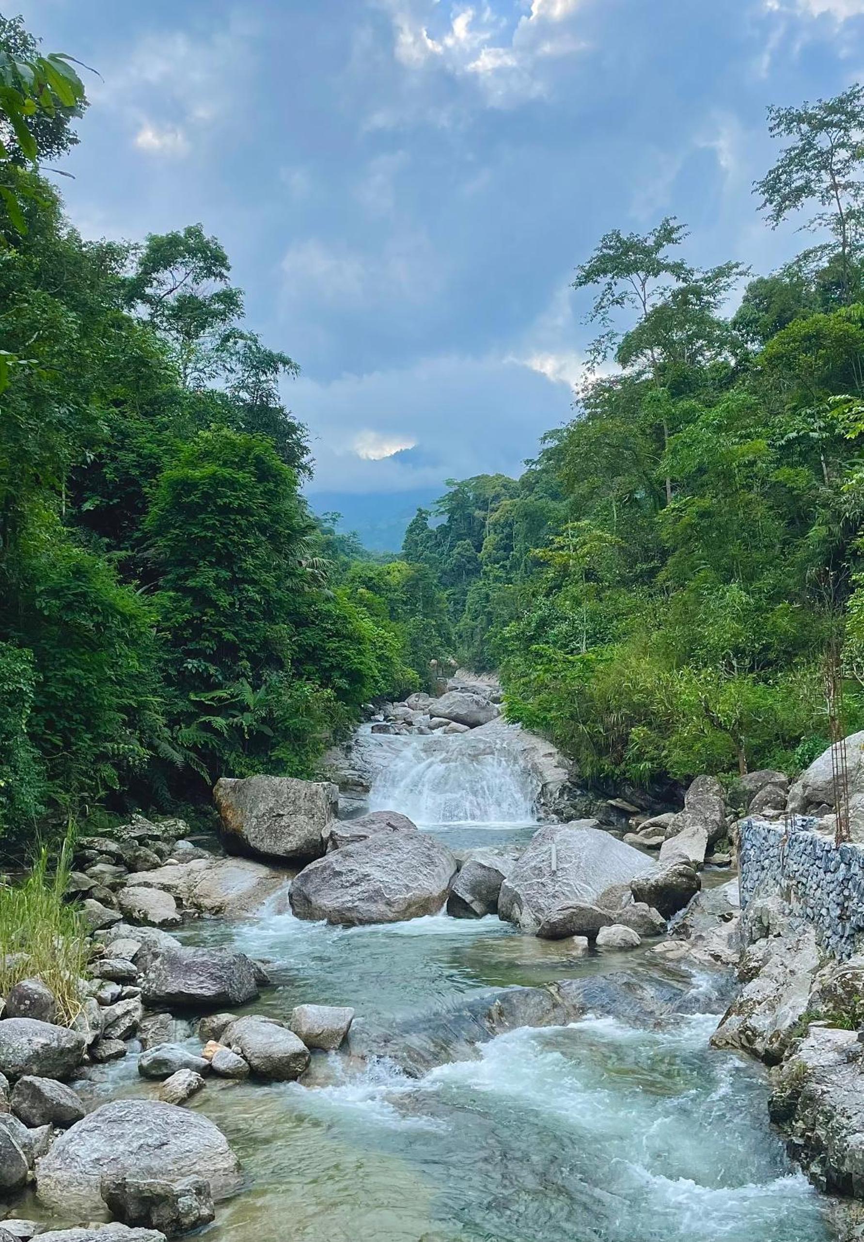 Bikki's jungle homestay