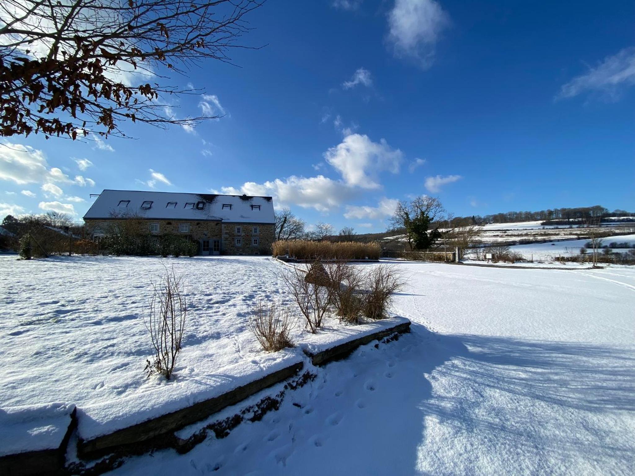 Gîte de la Forêt