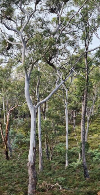 Dodges Ferry Get Away