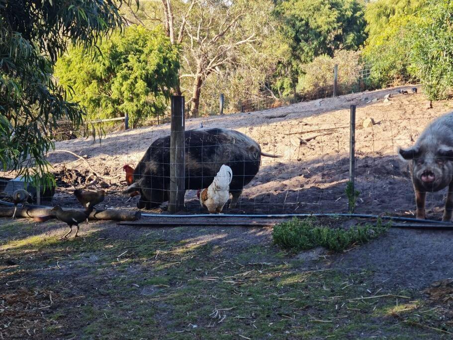 Dodges Ferry Get Away