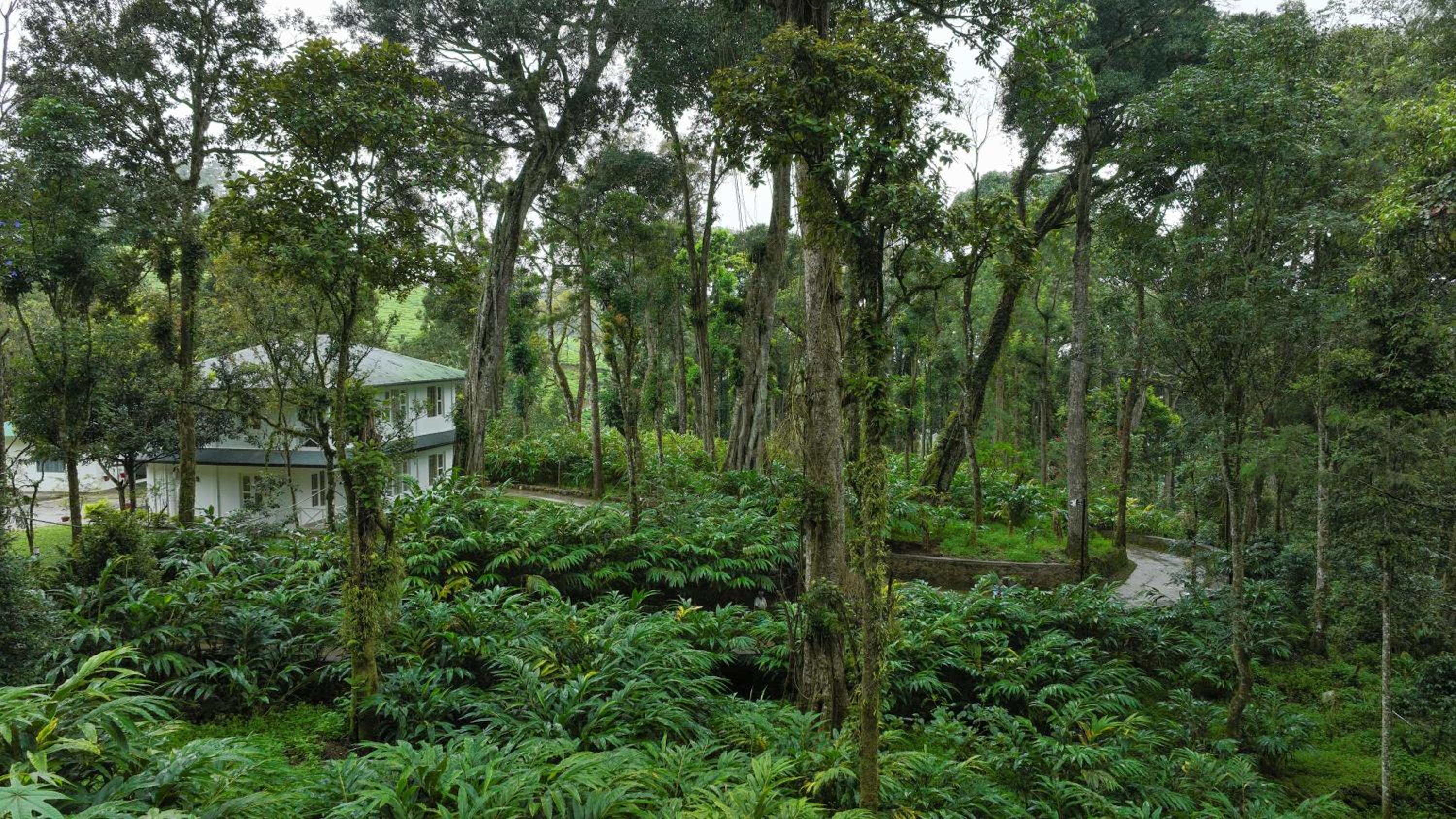 Makayiram Retreat