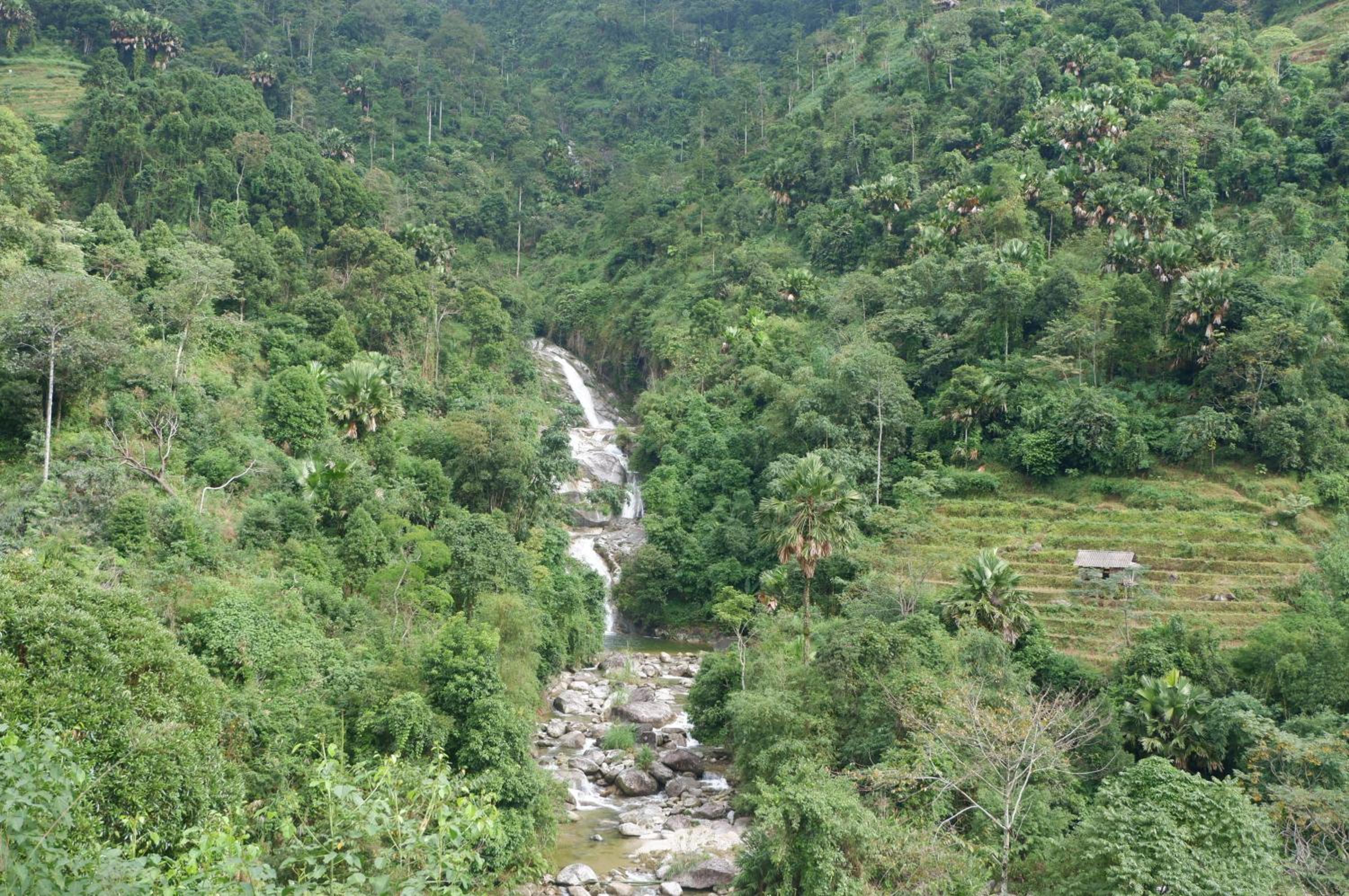 Bikki's jungle homestay