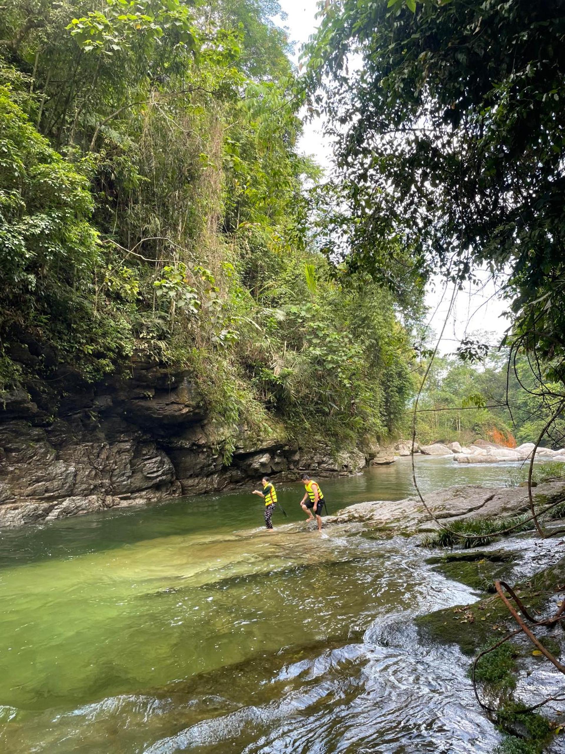 Bikki's jungle homestay