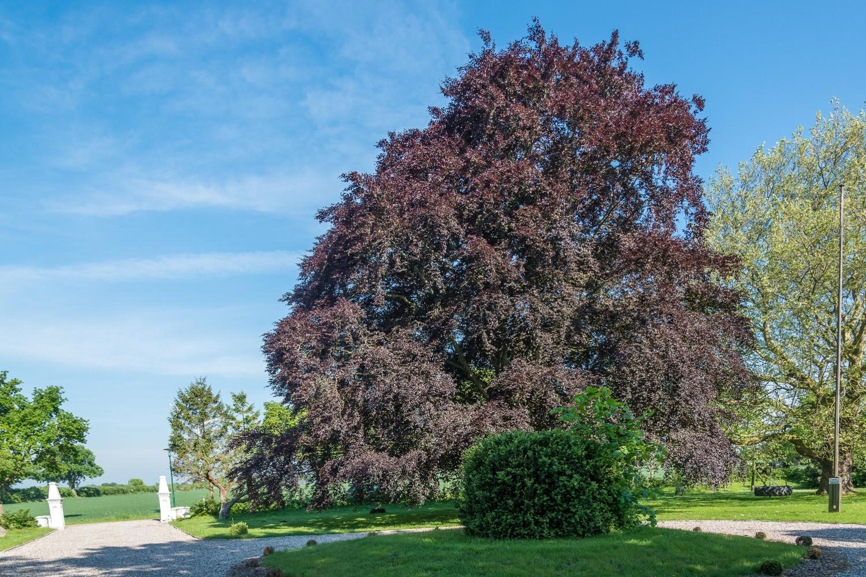 Ferienhof Kolauerhof - Bauernhofurlaub in Grömitz