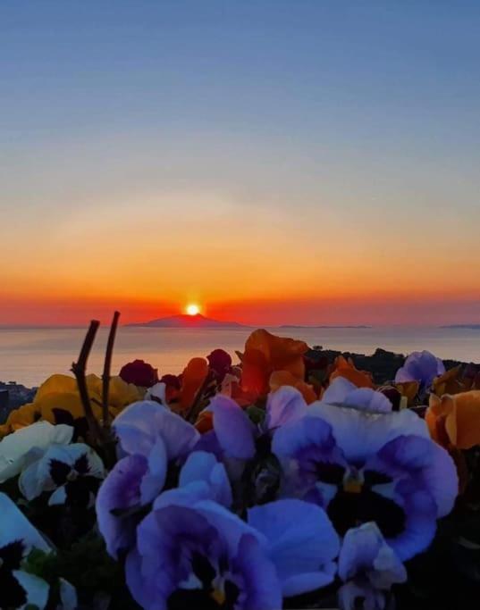 Villa Mimì between Sorrento and Positano photo 5